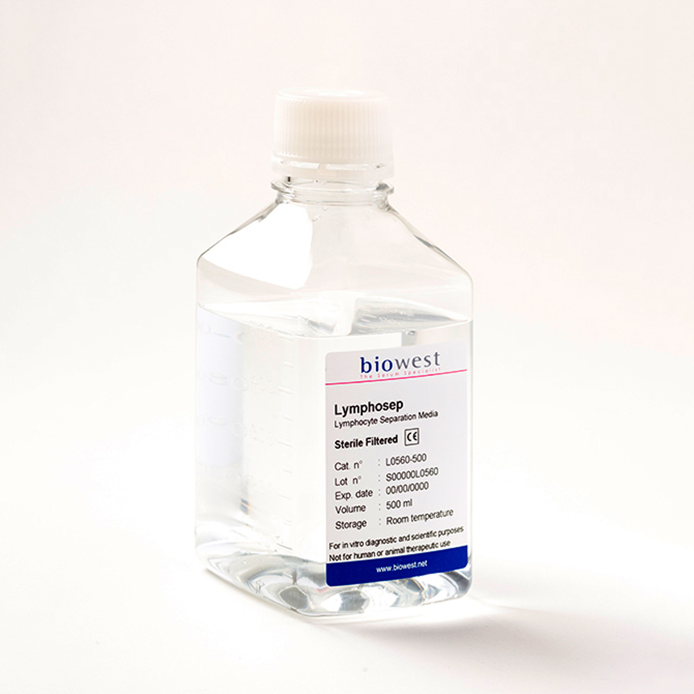Lymphosep, lymphocyte